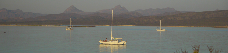 sailsancarlos.com